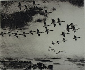 Image description is not available for DU1946.245